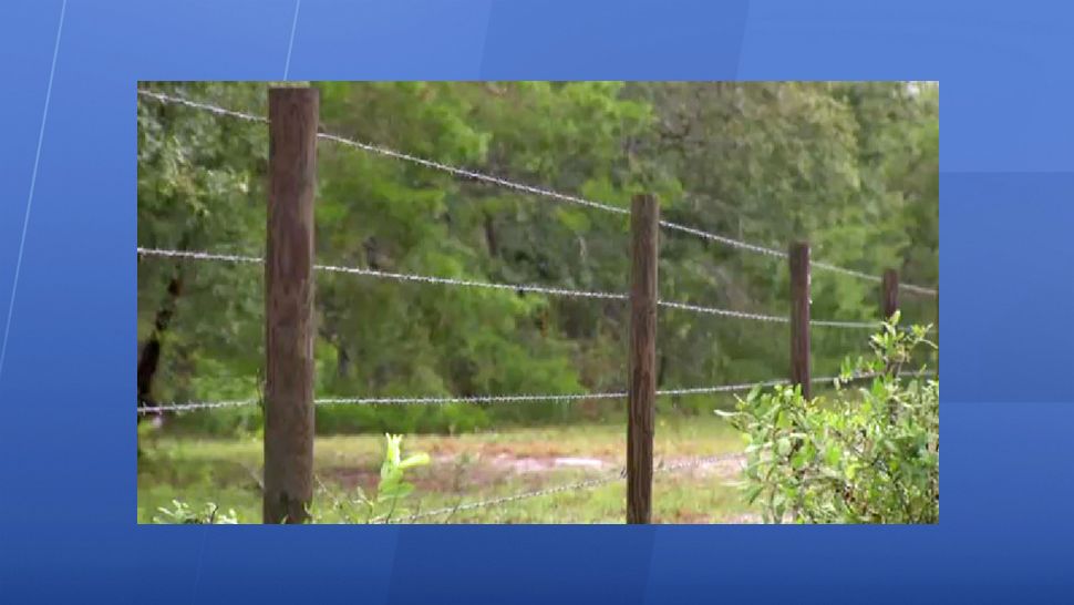 The proposed development will be near County Road 419 in the Chuluota area; it is close to 700 acres in what used to be a ranch. That would go away and in its place hundreds of homes, apartments, along with shops, restaurants and offices, if developers have their way. (Spectrum News 13)