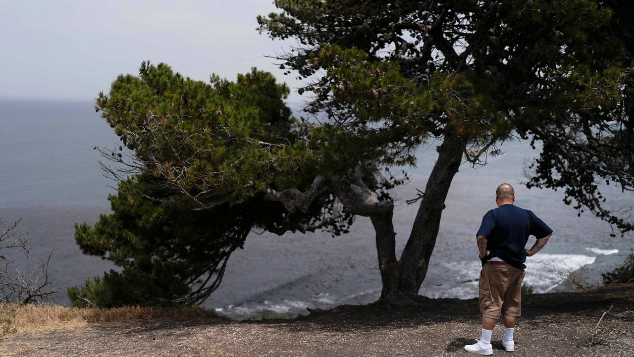 An onlooker stands near an ocean cliff in Palos Verdes Estates, Calif., Monday, May 23, 2022. (AP Photo/Jae C. Hong)