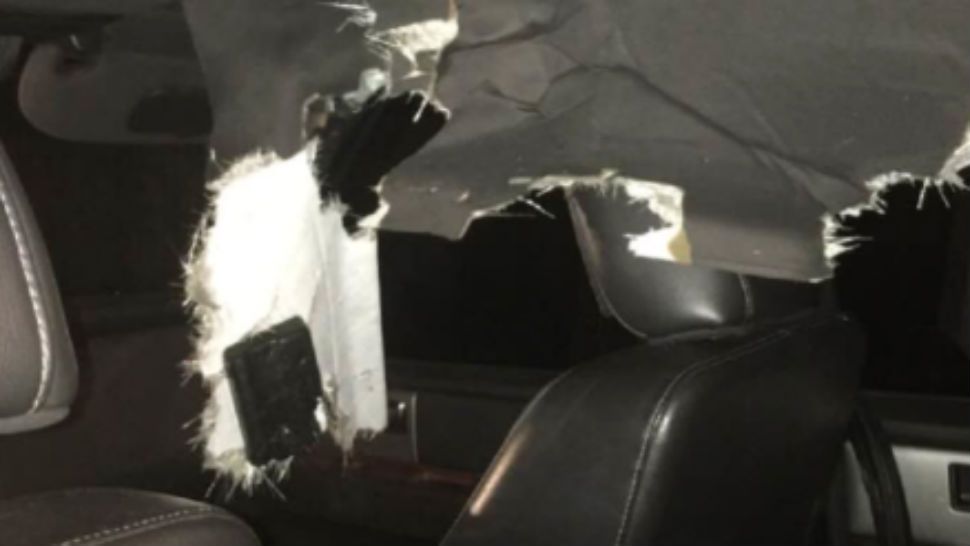 A bear broke into an unlocked SUV in Seminole County last month and wrecked the interior. Wildlife officials helped get the bear out, but it escaped. (File)