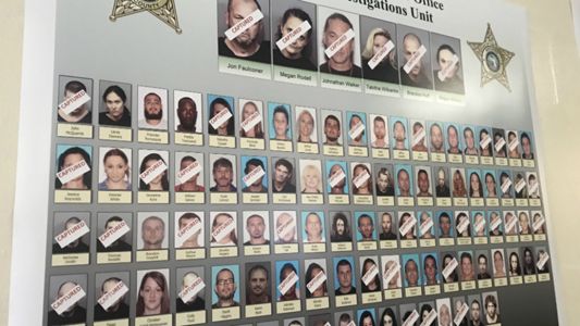 Massive Drug Bust in Brevard County Nets 20 Arrests, Over 7-Pounds