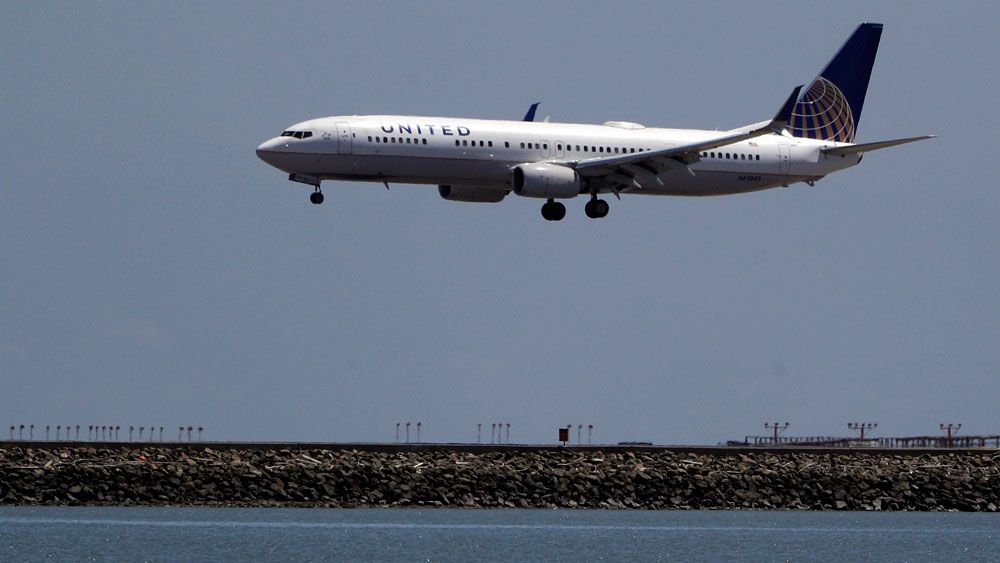 United Airlines is changing its policies for flying pets in cargo. (AP/File)