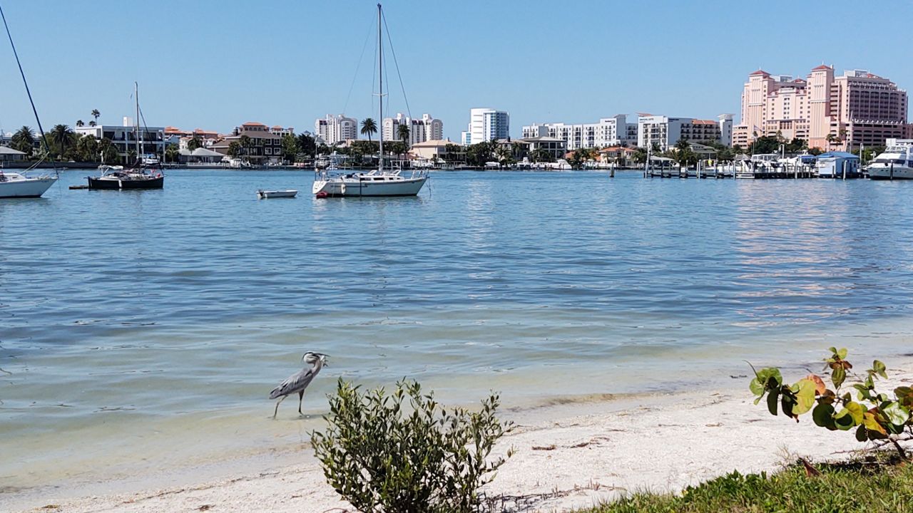 Beautiful day at Clearwater Beach, Sunday, May 3, 2020. (Courtesy of viewer Debbie G.)