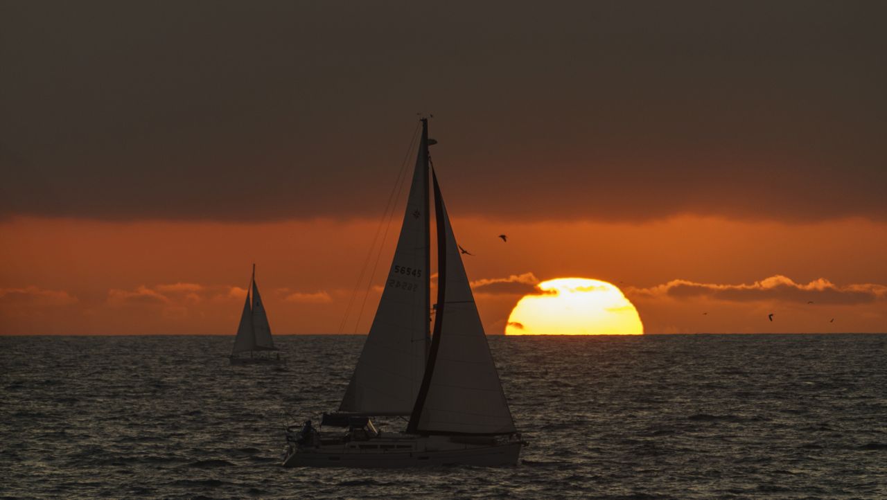Sailboats glide on the Pacific Ocean off the coast of Venice Beach during sunset in Los Angeles, Sunday, Dec. 27, 2020. (AP Photo/Damian Dovarganes)