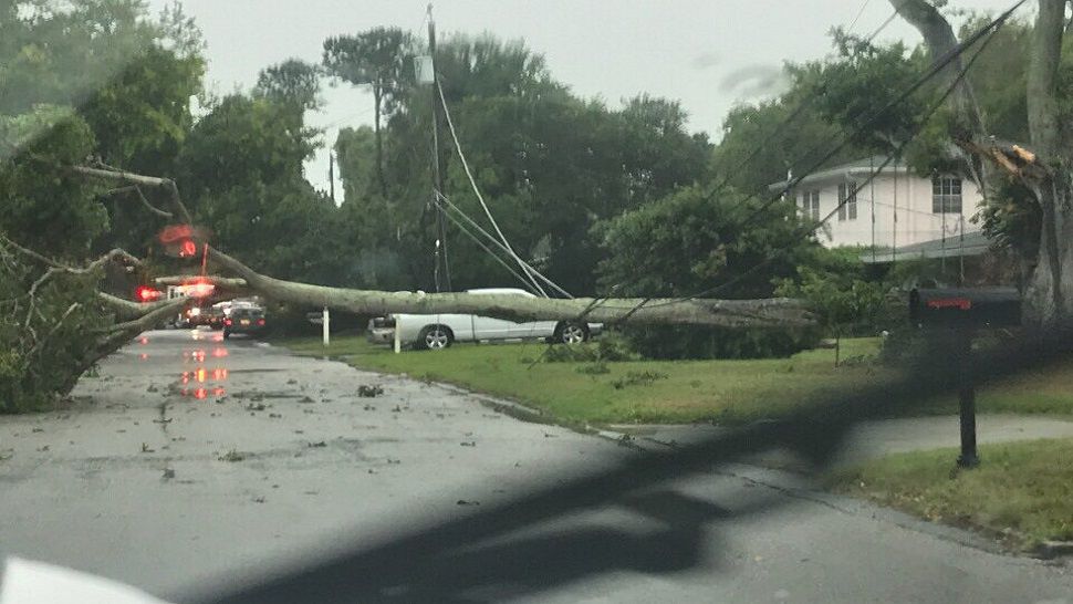 The strong winds knocked down trees and power lines in the 1100 block of Norwood Avenue in Clearwater. There were no injuries.