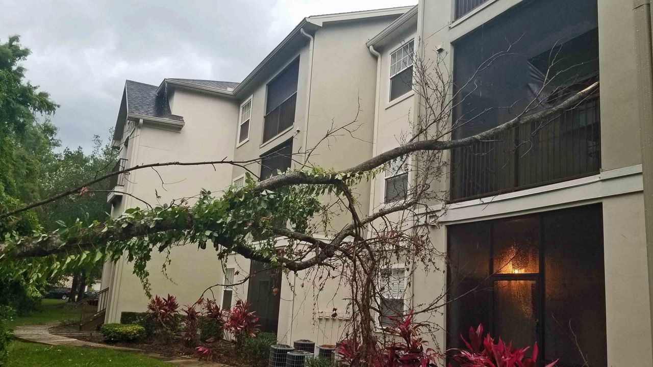 Weather Forecast StormRelated Damage, Outages Reported