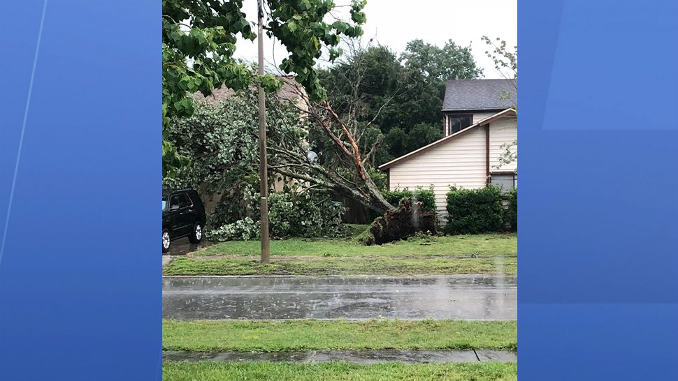 Sent via Spectrum News 13 app: A tree ripped from the ground after severe storms swept through Orange County.