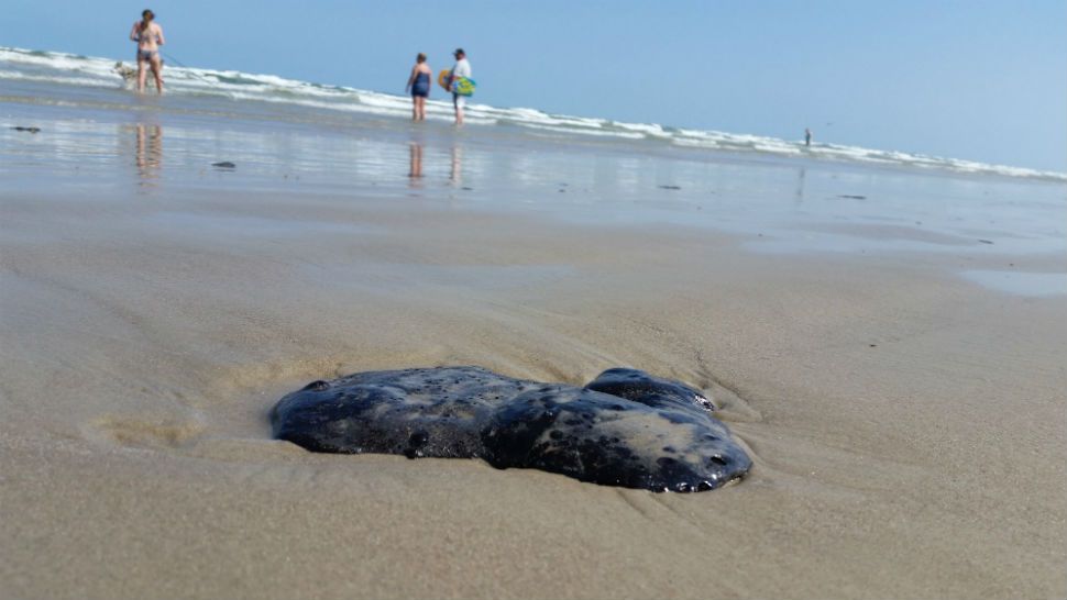 Tar balls are popping up on Padre Island and sticking to beach goers. (Courtesy: Padre Island National Seashore Facebook)