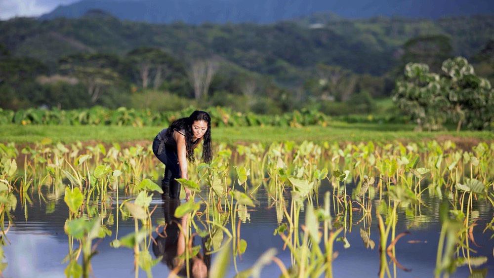 $1 million in grant funding is available in each of 2022, 2023 and 2024. (Christian Kahakai via Associated Press)