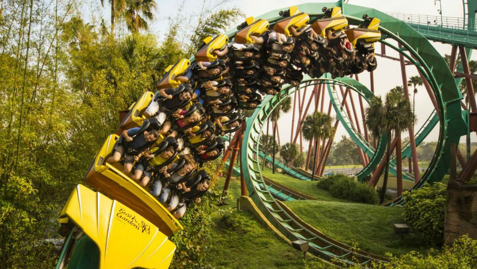 Busch Gardens Tampa Bay. (Courtesy of Busch Gardens)