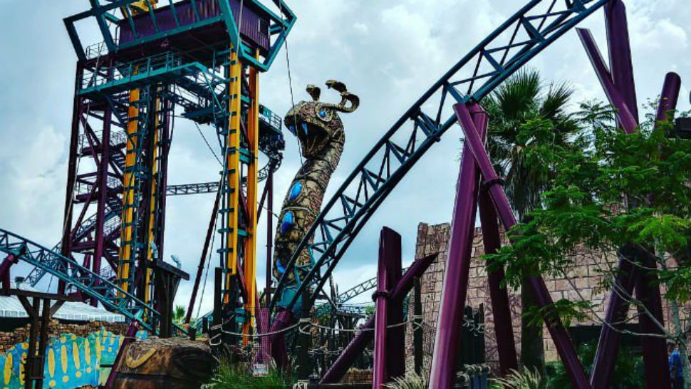 Cobra's Curse at Busch Gardens Tampa Bay (File)