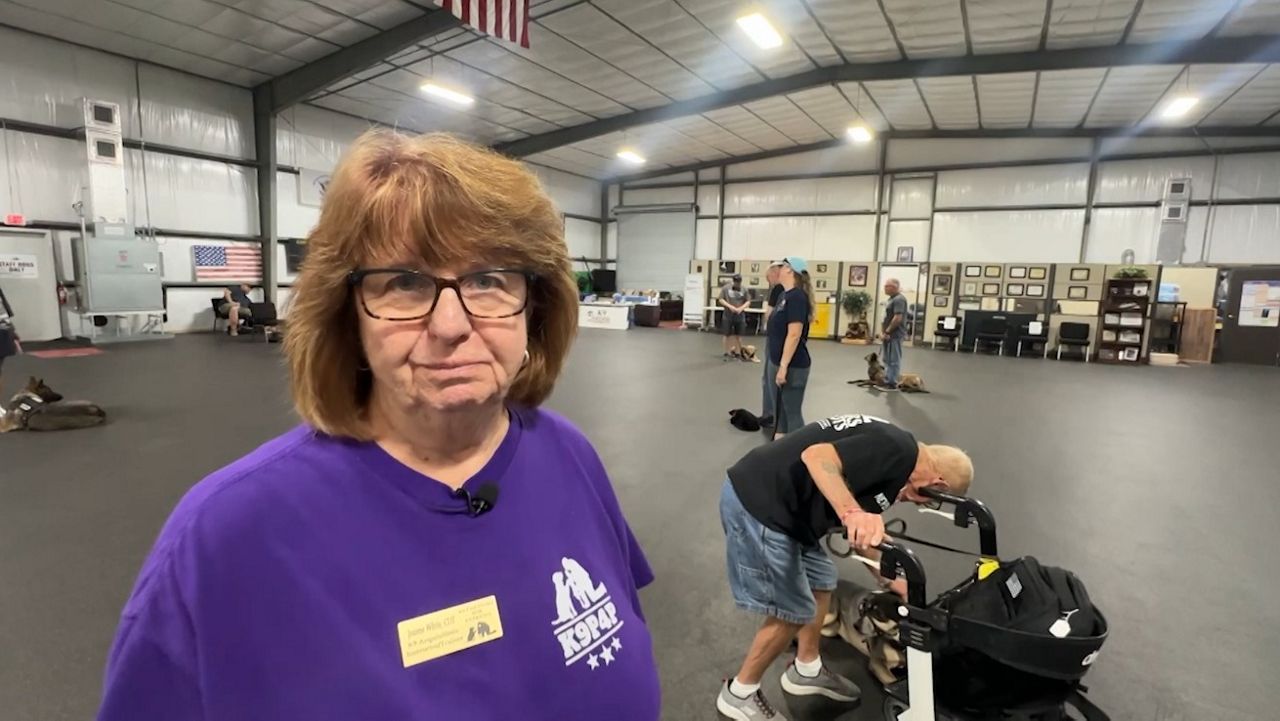 Jeanne White secures service dogs for K9 Partners for Patriots in Brooksville. (Spectrum Bay News 9)