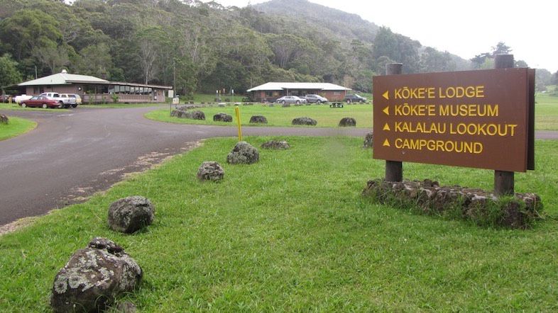 Moses Gardner was last seen hiking within Kokee State Park. (Department of Land and Natural Resources)