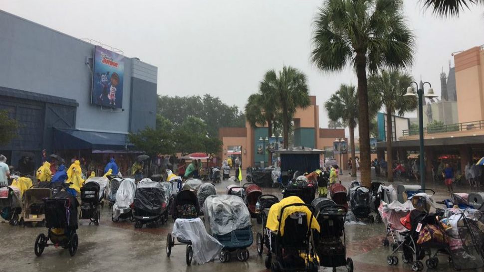 Disney World visitors endure a damp day at Disney's Hollywood Studios on Monday afternoon. (Courtesy of Daniel Wallace on Twitter @WeatherManDan97)