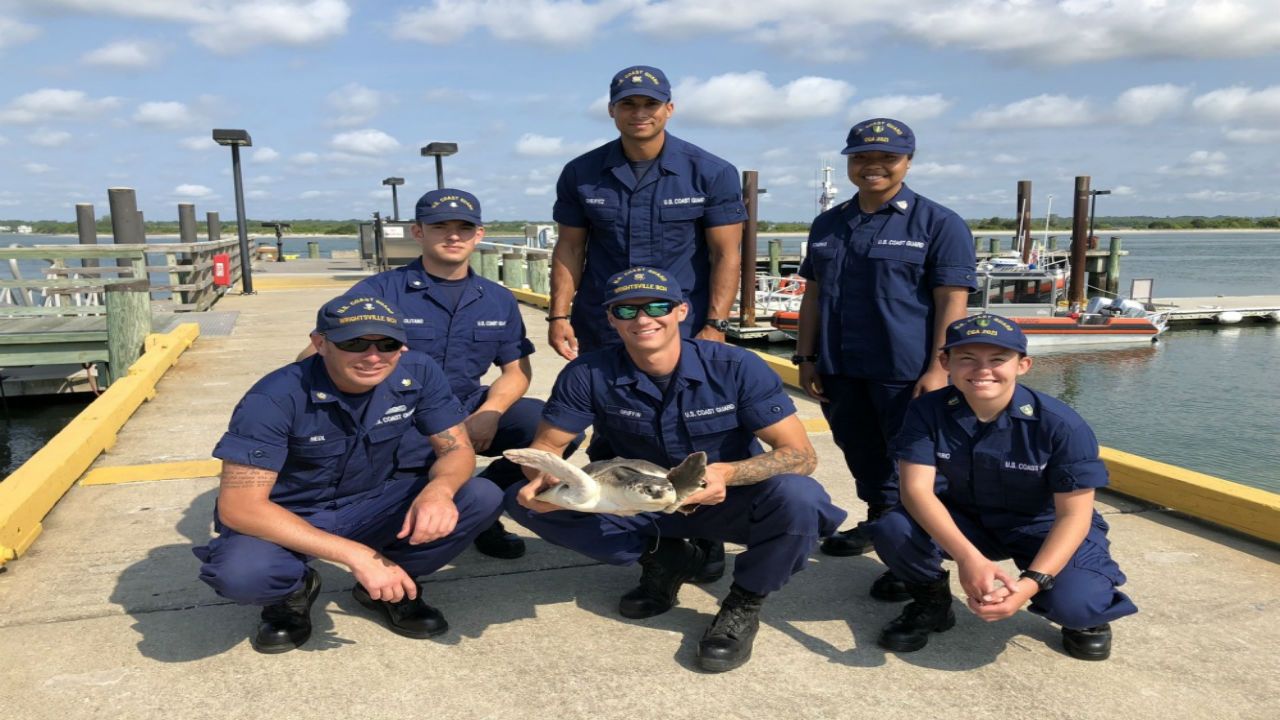 Crews with rescued turtle