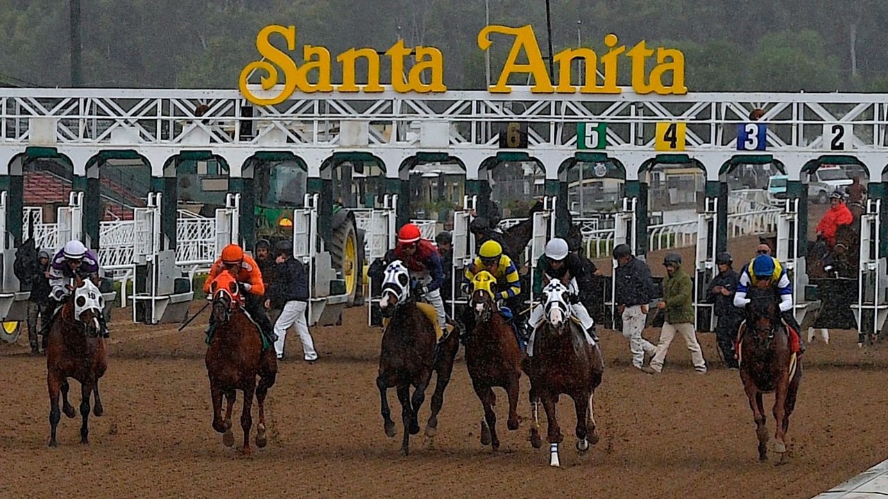 Horse collapses, dies during race at Santa Anita