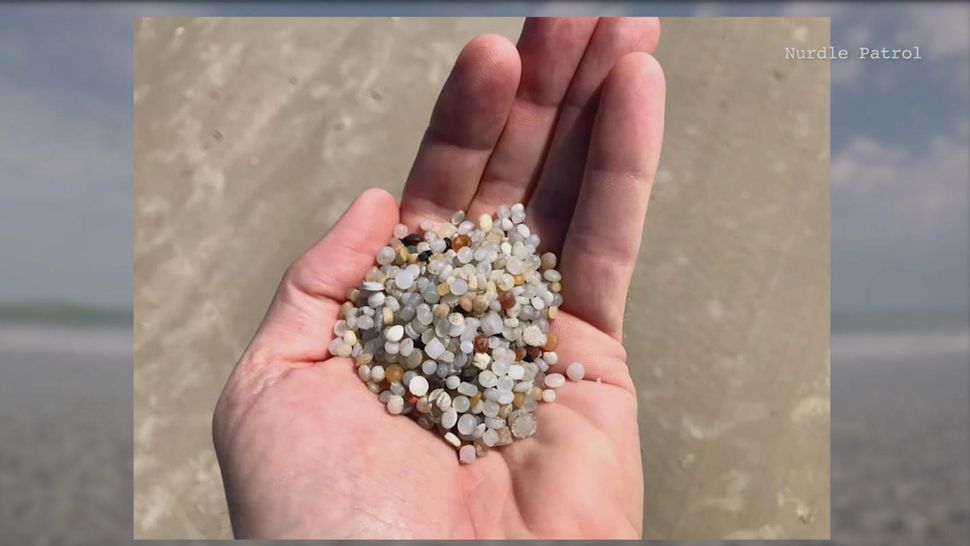 What Are Nurdles and Why Are People Searching for Them?