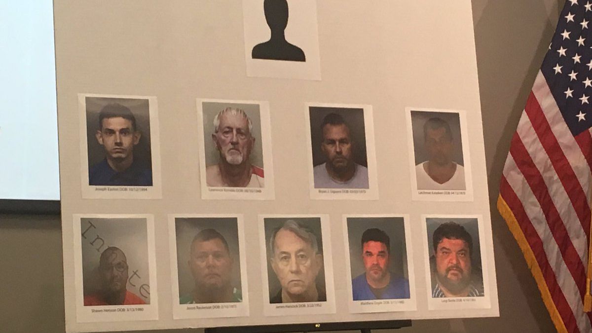 Nine people have been arrested, including a East Lake firefighter, in connection to a two-year human trafficking investigation in Hernando County. 