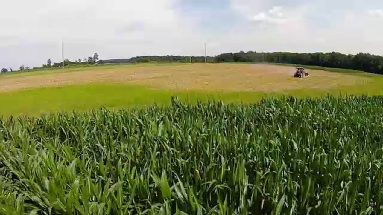 the-vanishing-harvest-saving-north-carolina-s-farmland