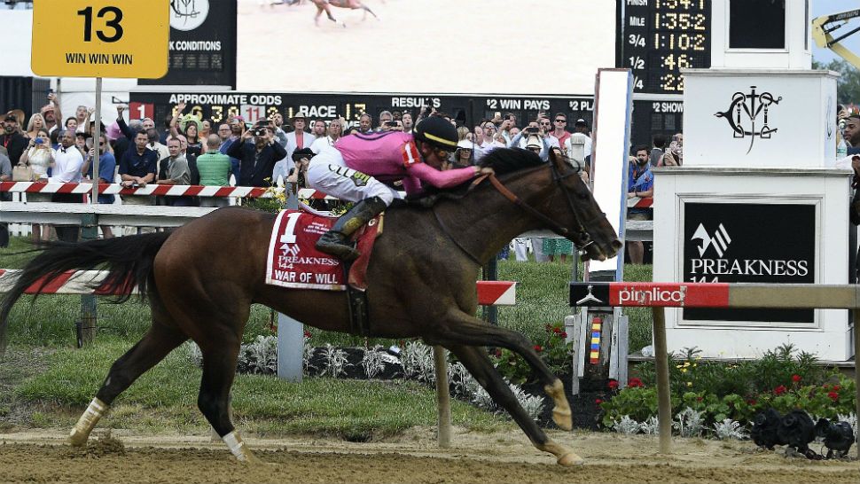 War of Will, ridden by Tyler Gaffalione, crosses the finish line first to win the Preakness Stakes horse race at Pimlico Race Course, Saturday, May 18, 2019, in Baltimore. (AP Photo/Mike Stewart)