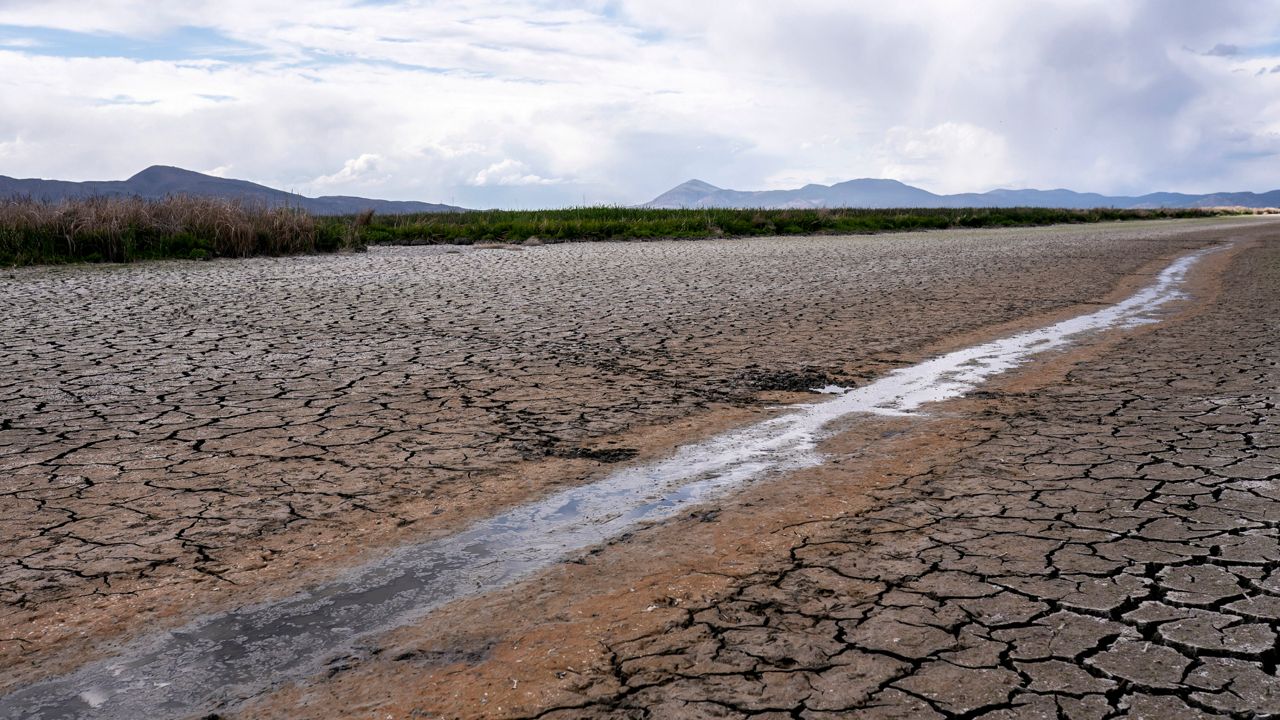 Drought stricken ground