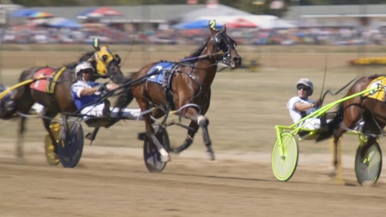 Harness Horse Racing Gets Back on Track in Ohio