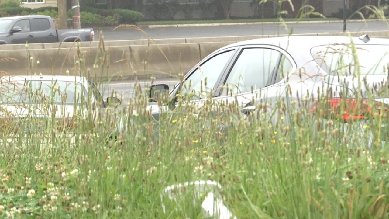 Cars and weeds