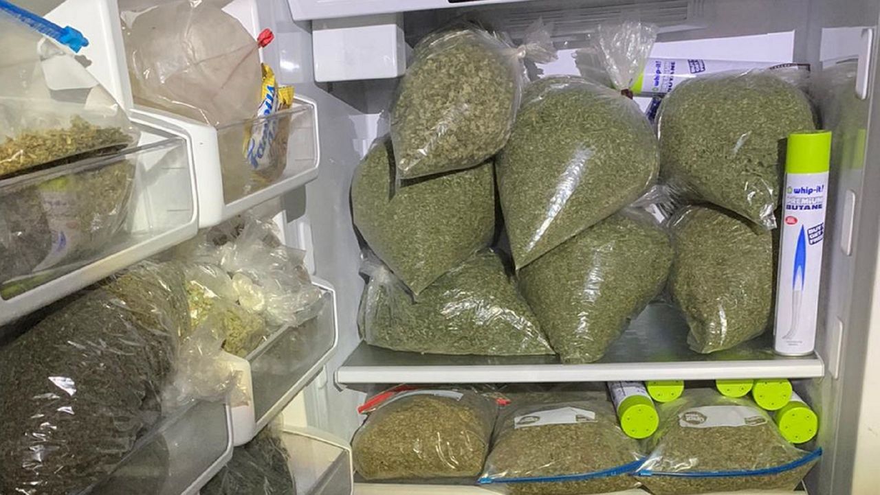 Over 300 pounds of processed marijuana was seized by Lake County agents, the sheriff's office said. (Lake County Sheriff's Office)