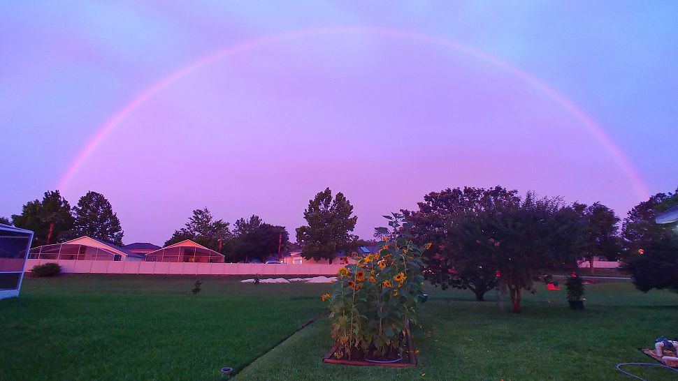 Submitted via our Spectrum Bay News 9 app: "What a beautiful rainbow glowing over my sunflower patch tonight!" (Taken in Davenport by Bill Old on Saturday, May 19, 2018).