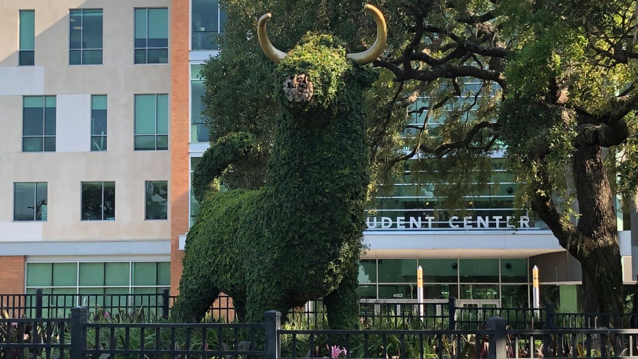 Some of the measures being discussed at schools like USF include requiring face masks, limiting the number of people in common areas and classrooms, enhancing cleaning procedures and increasing testing and contact-tracing for students, faculty, and staff. (Laurie Davison/Spectrum Bay News 9)