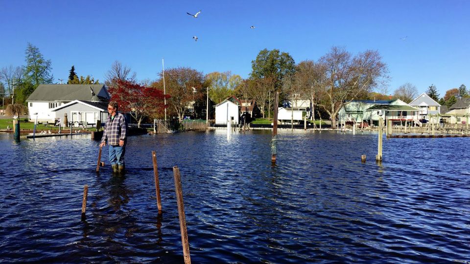 flooded docks 