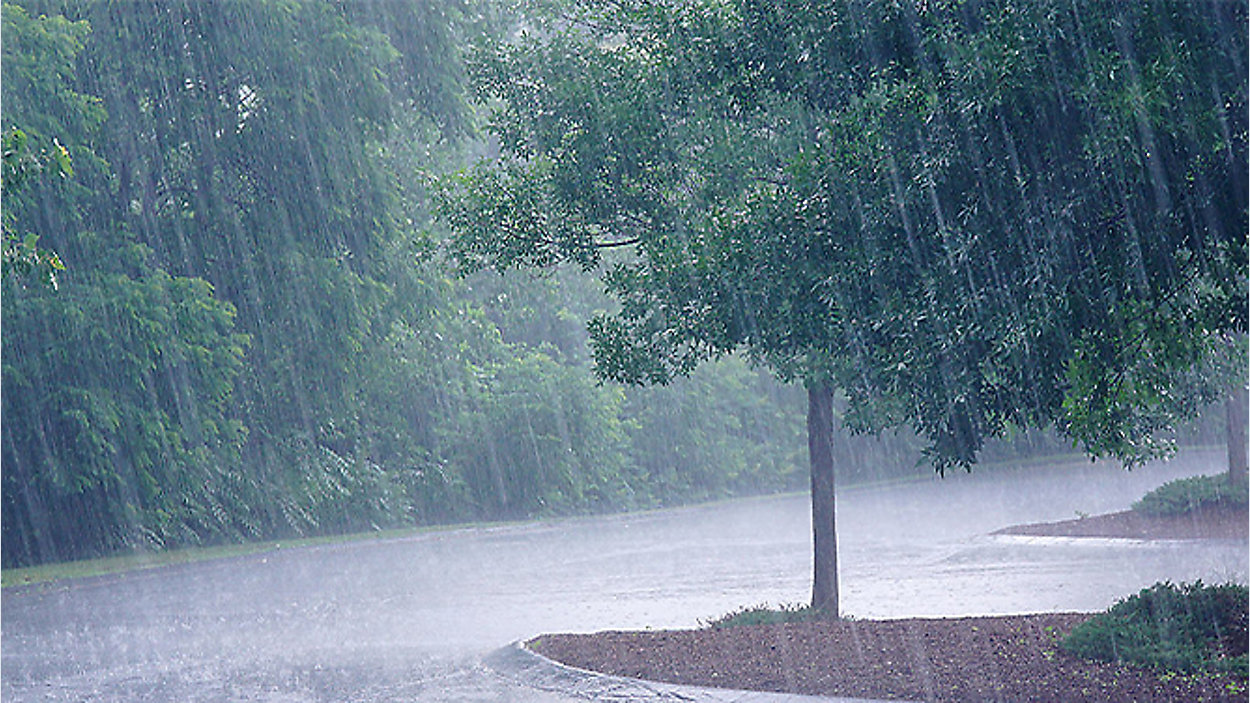 Rain area. Дождь. Ливень. Дождь фото. Ливень летом.