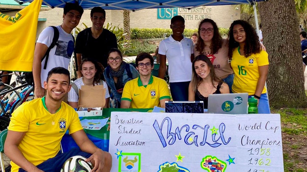 Usf International Student Portal – LYYB