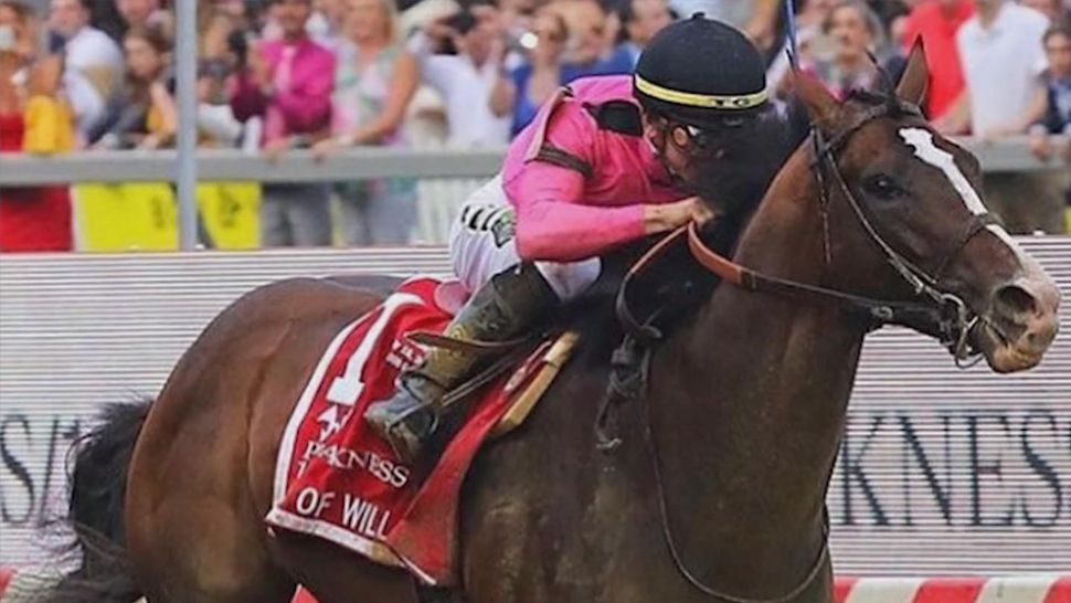 Preakness Jockey Played High School Football in Bay Area