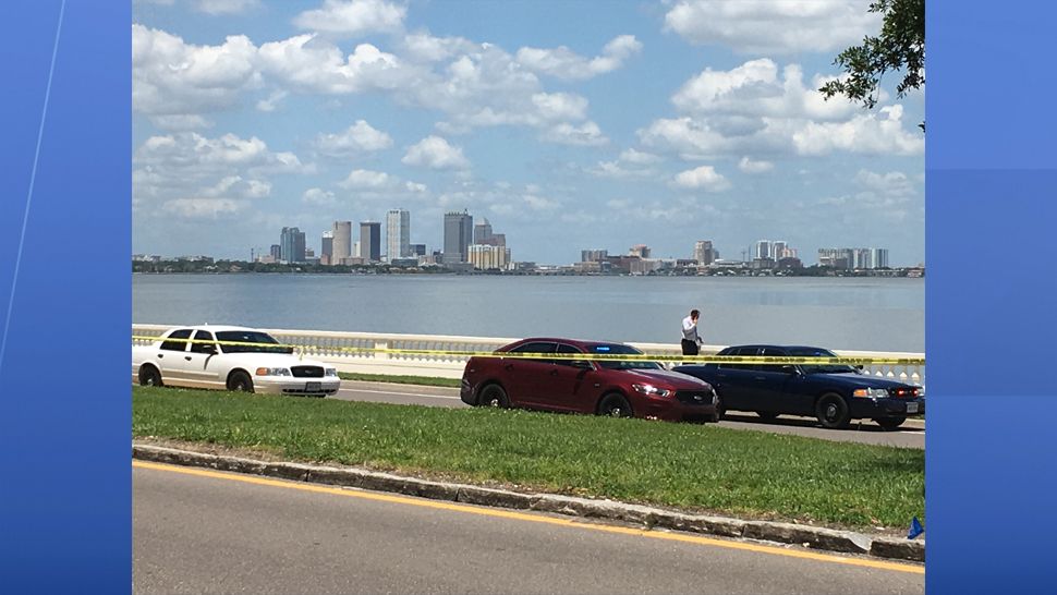 Tampa police responded to a deadly crash involving a woman who was pushing a stroller along Bayshore Boulevard. (Adria Iraheta, staff)