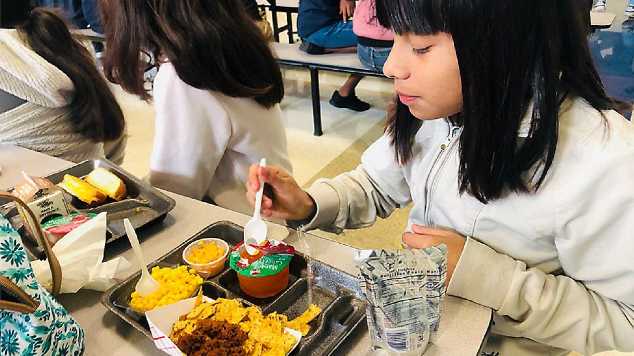 Universal free school lunch ending June 30