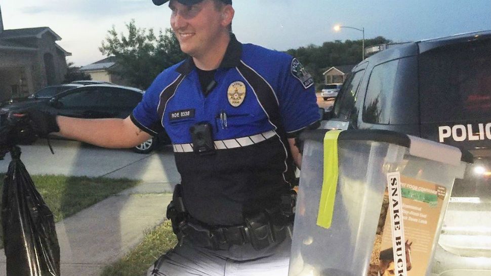 Austin Police Department's Ofc. Roe in action. (Courtesy/APD, Twitter)