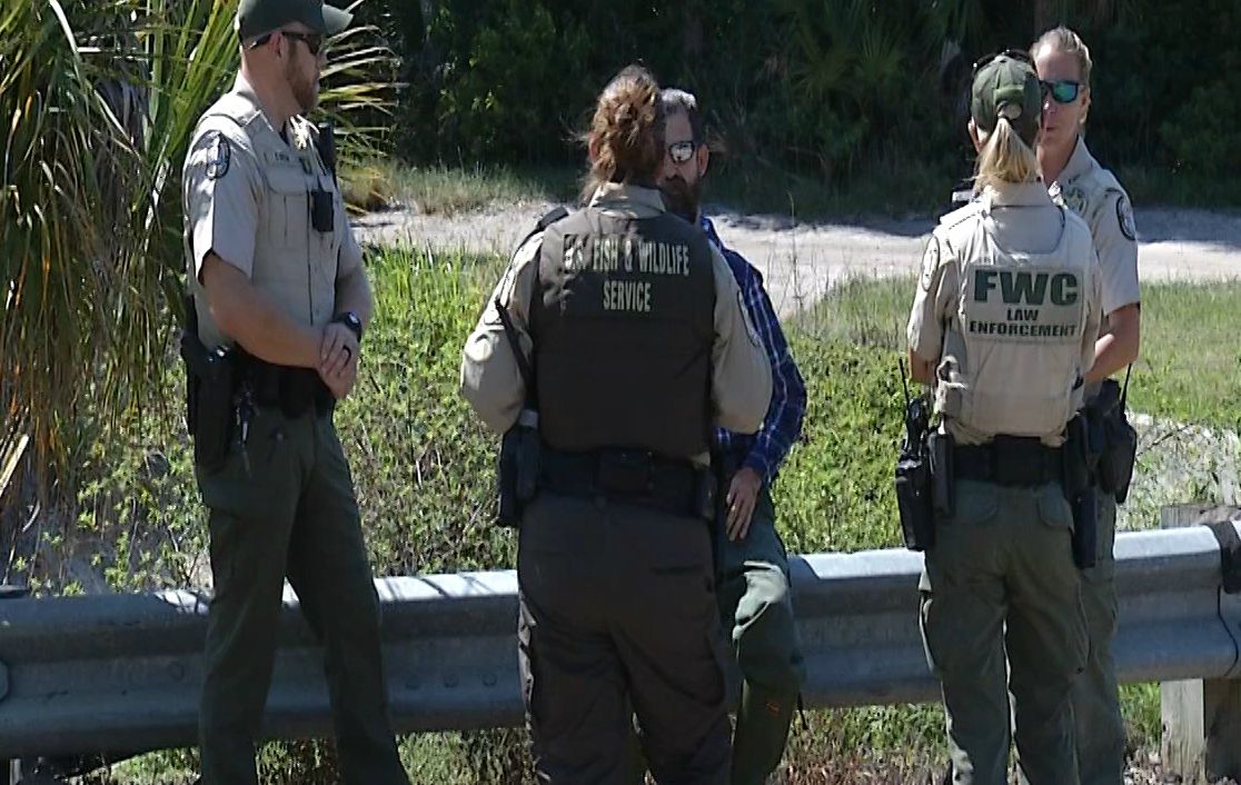 Woman Attacked by Gator in Brevard County, Has "Significant Bite Injuries"