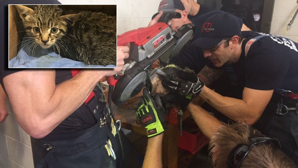 Orlando firefighters rescue a tiny kitten (top left) from a vehicle engine Sunday night in downtown Orlando. (Orlando Fire Dept.)