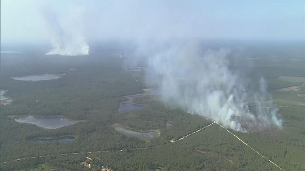 Firefighters battle a brush fire at Ocala National Forest near Ocklawaha. (Sky 13)