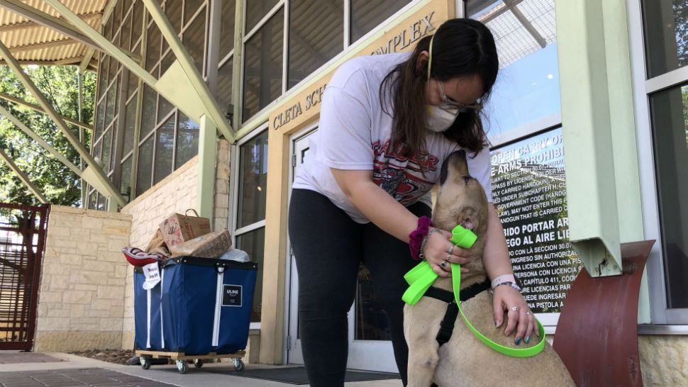 San Antonio Humane Society Offering Curbside Adoption