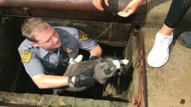 Morrisville police officer rescues cat from storm drain