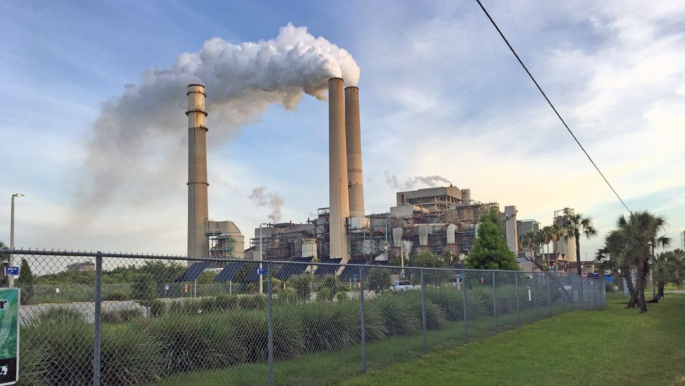 TECO officials say they have made a commitment to reduce the plant's carbon footprint.  (File photo)