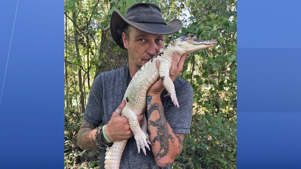 Deputies think this leucistic alligator (also called a "snowball" alligator) may have been stolen amid a fire that killed more than 40 other reptiles. (Sumter County Sheriff's Office)