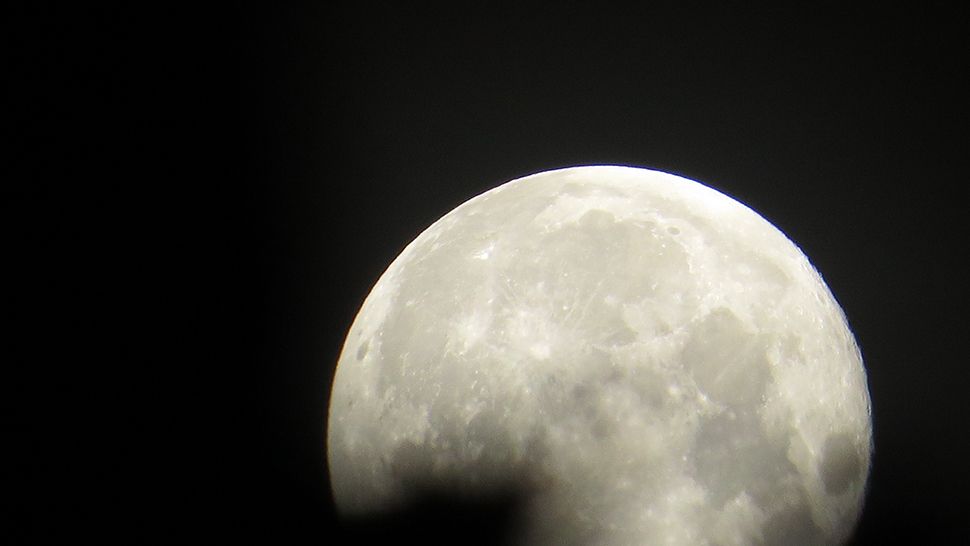 La pleine lune fleurie culmine cette semaine