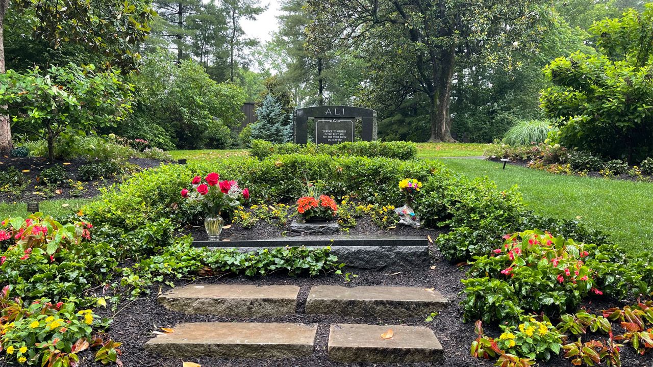 Five years after Muhammad Ali's death anniversary,'The Champ's' legacy  carries on, image size:1280x720