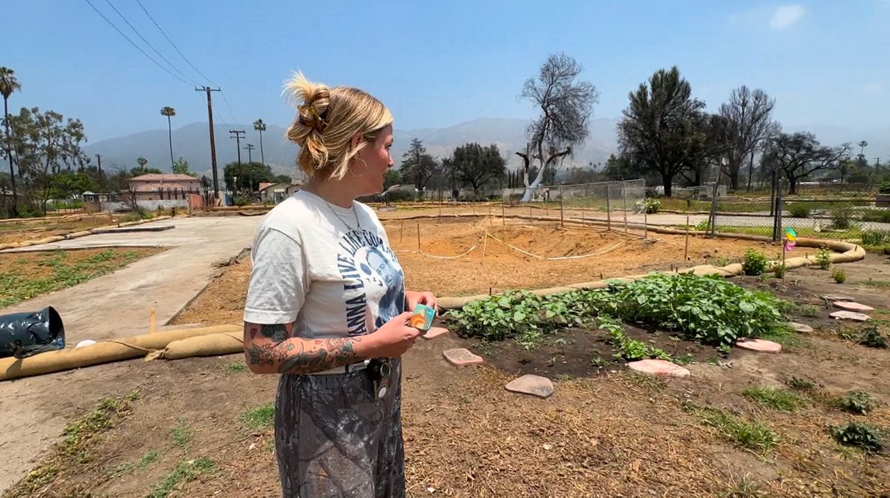 A woman stands in a vacant lot in Altadena.