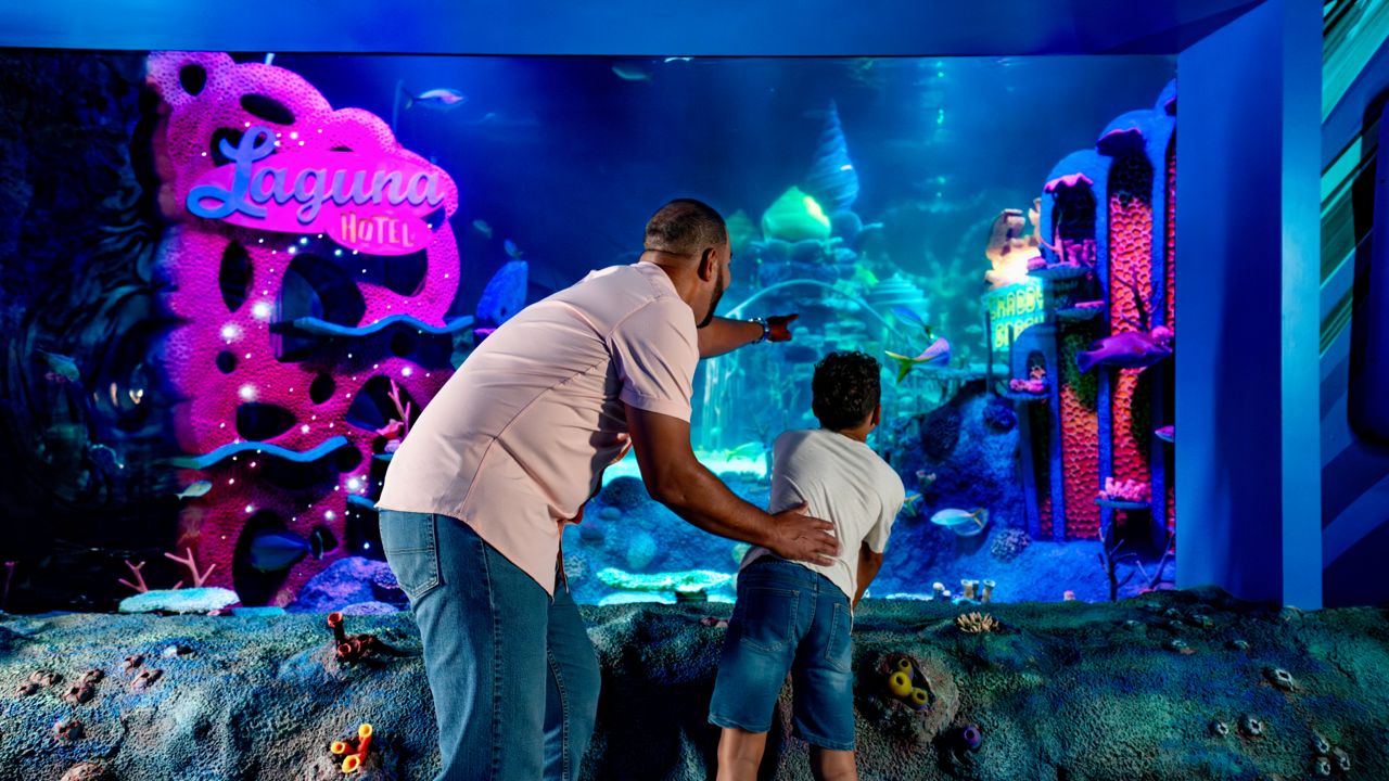 SEA LIFE Florida opened Friday at LEGOLAND Florida Resort. By the numbers: 3000 sea creatures, 150 species of animal, 10 immersive galleries. (Photo provided by LEGOLAND Florida)