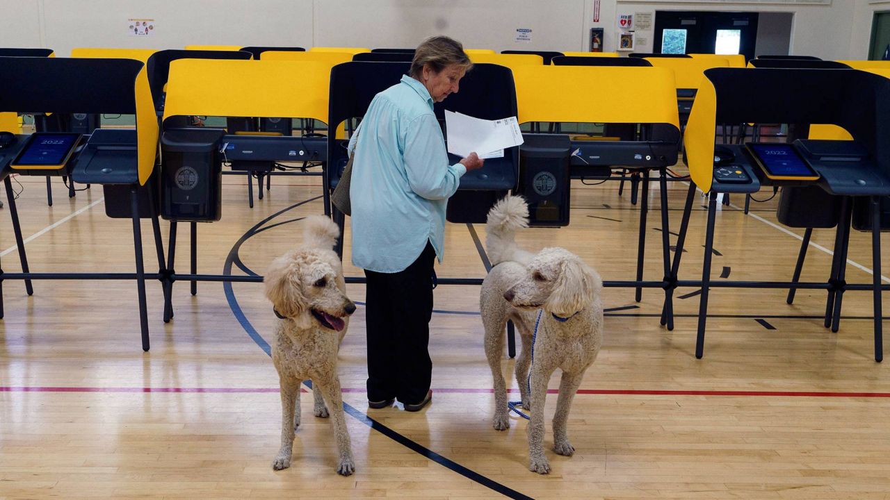 Janice Slattery votes with her dogs Randy, left, and Tucker-T in the primary election in La Habra Heights in Los Angeles County on Tuesday. (AP Photo/Damian Dovarganes)