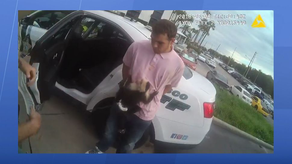 Pasco County deputies arrested a vehicle theft suspect Friday with a Capachun monkey. (Pasco County Sheriff's Office)