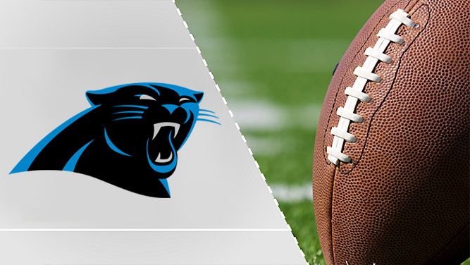 Generic Panthers graphic
